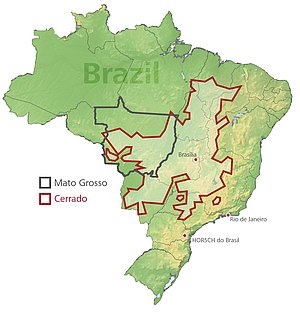 [Translate to polnisch:] Karte: Mato Grosso Cerrado